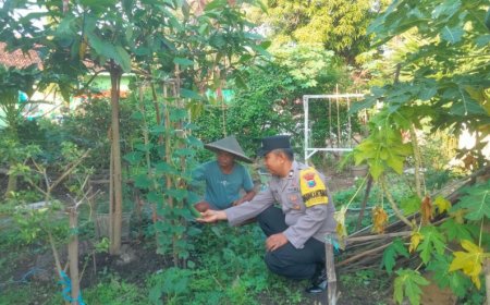 Dukung Ketahanan Pangan Nasional, Bhabinkamtibmas Bangunsari Ajak Masyarakat Manfaatkan Pekarangan Rumah
